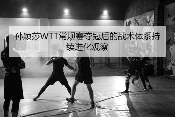 孙颖莎WTT常规赛夺冠后的战术体系持续进化观察